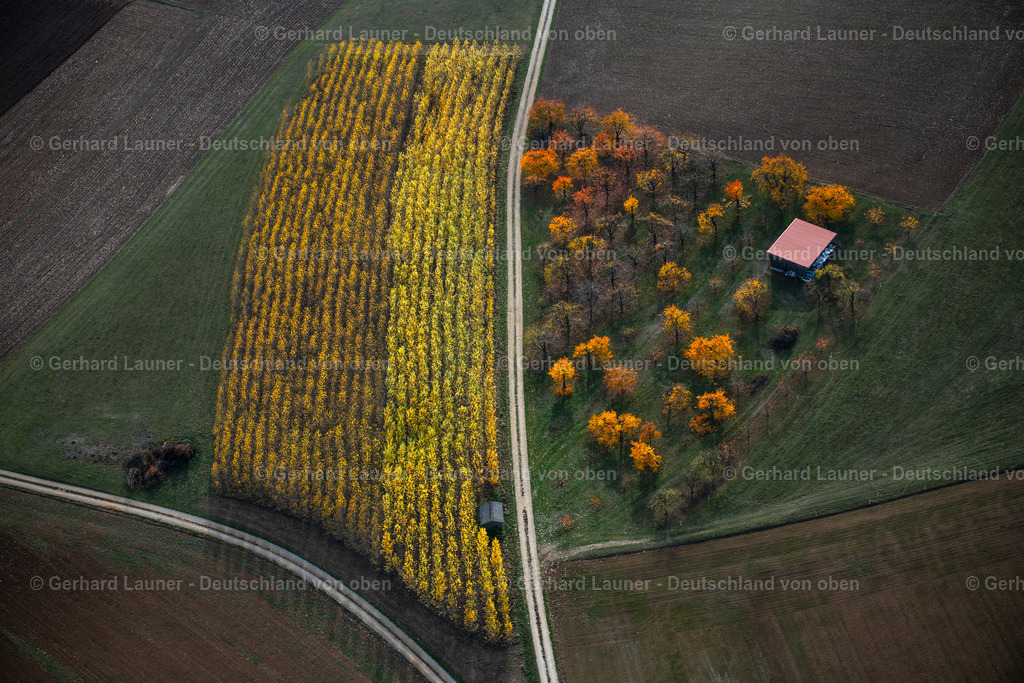 3808258 | Herbstliche Bäume am Teufelstisch bei Dachstadt