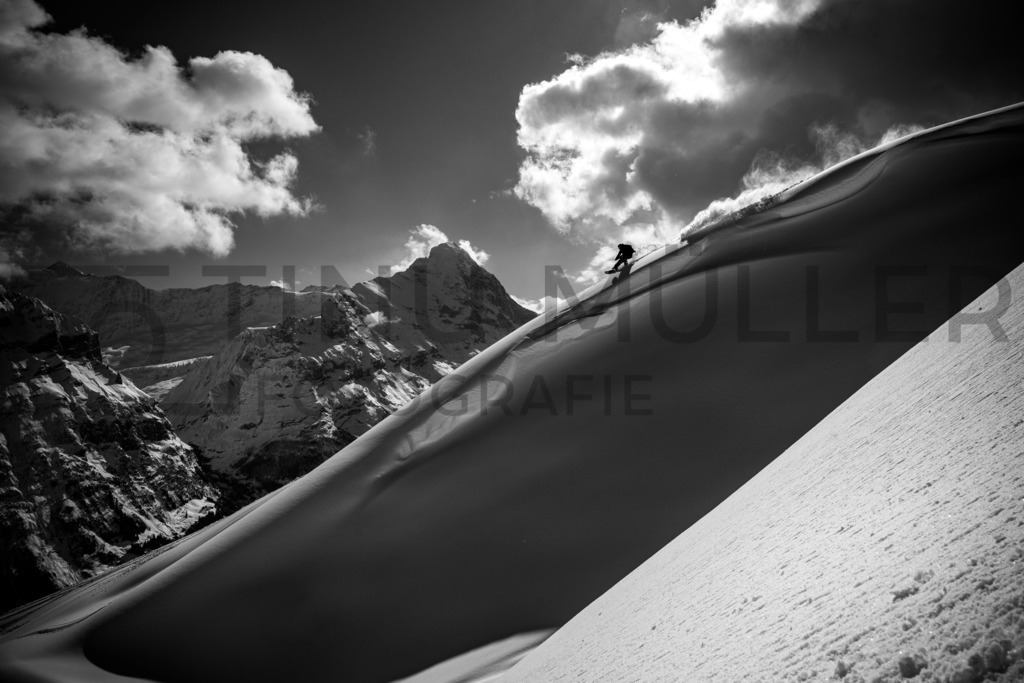 DSC04368 | Tinu Müller Fotografie- Bildershop - Realisiert mit Pictrs.com