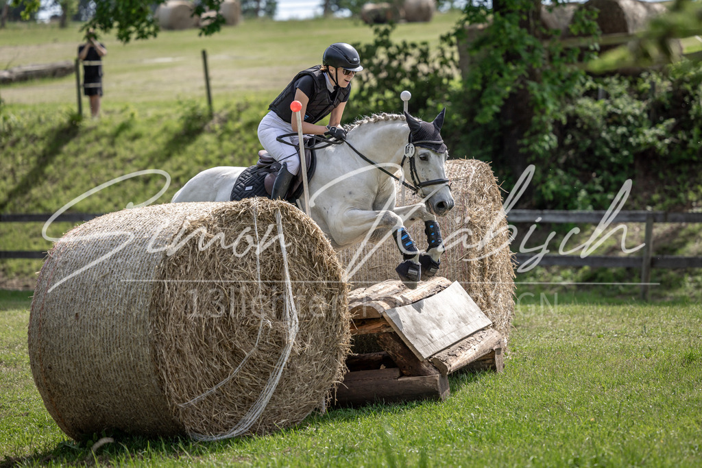 20260523-_3LI9188 | Tierfotografie Pferde, Hunde, Katzen, Haustiere.
Turnierfotografie Reitturniere, Reiten, Springreiten, Dressur in Hanau, dem Main-Kinzig-Kreis und dem Rhein-Main- Gebiet um Frankfurt