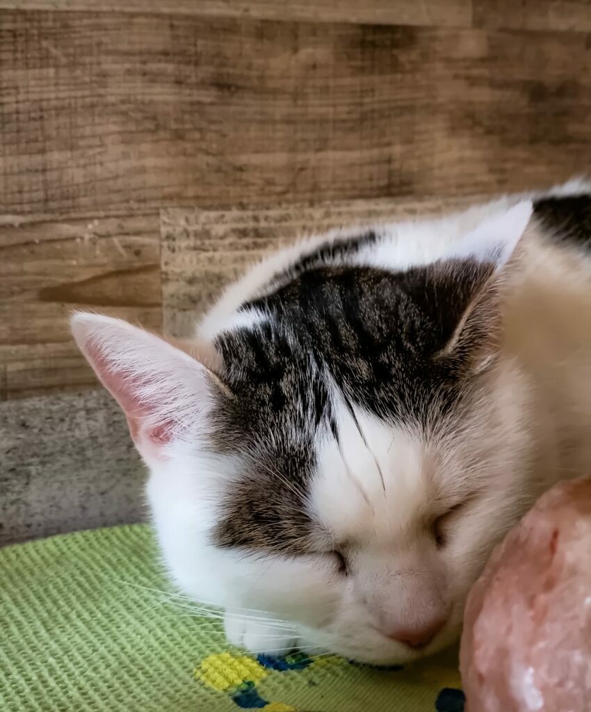 PSX_20220821_230902 | mtkfoto_ - Realisiert mit Pictrs.com