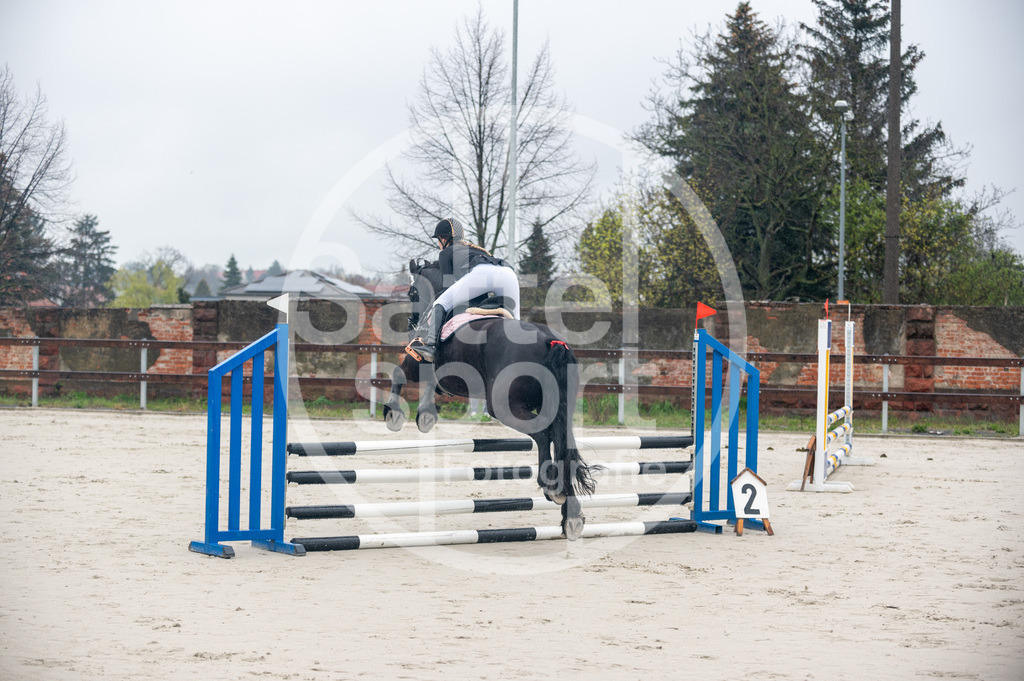 DSC_8190 | sattelsport - Realisiert mit Pictrs.com