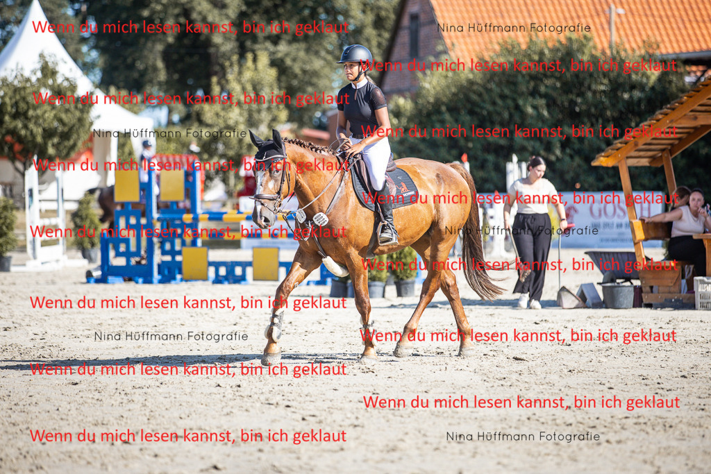BK1A7330 | Turnierbilder Turnierfotos Nina Hüffmann Turnierfotografie Pferdefotografie Tierzeichnung Haustierzeichnung Pferdezeichnung Hundezeichnung Videograf  - Realisiert mit Pictrs.com