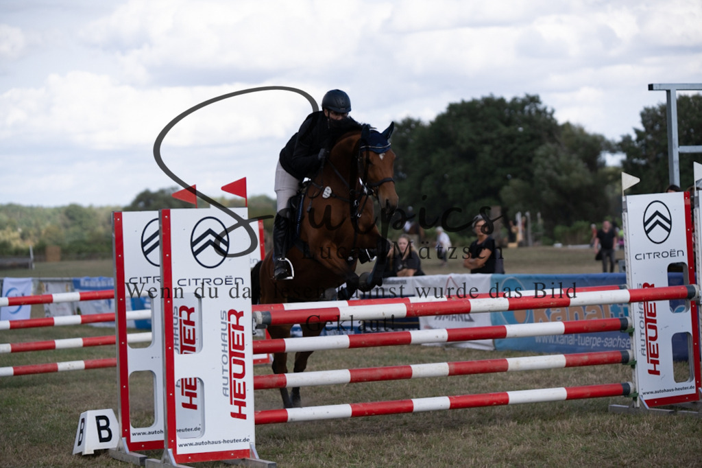 A7V09155 | Pferdefotograf