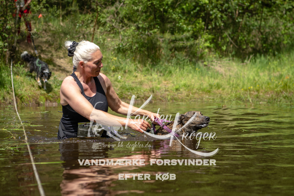 1211DKK992111 | kk-dogfotos
