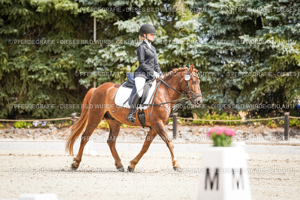 DSC02477 | Pferdegrafie