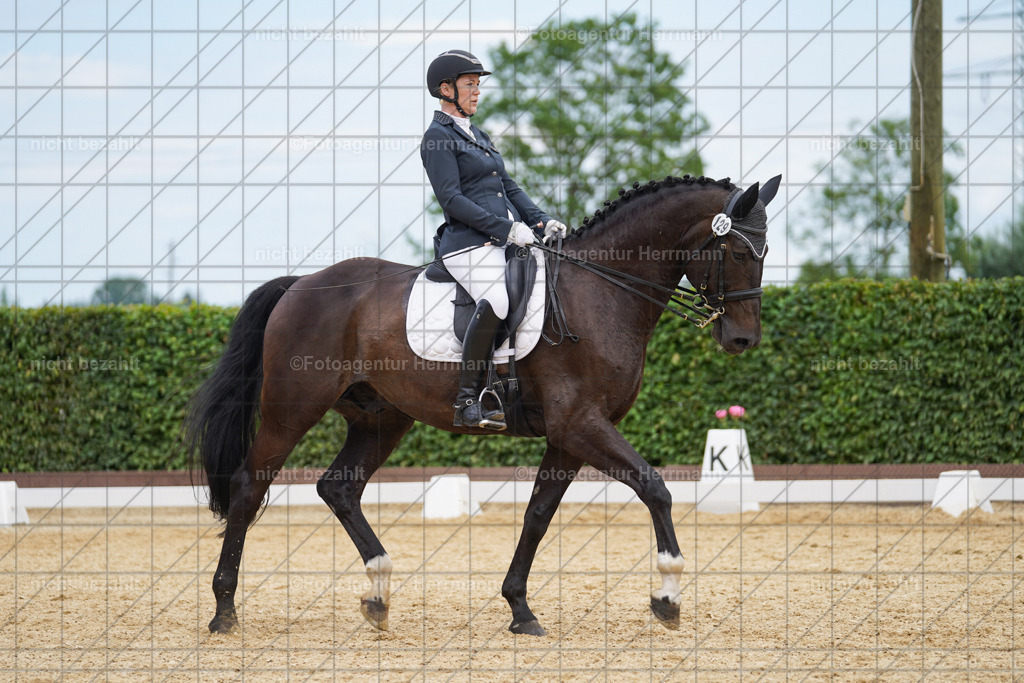 20240630-FAH02155 | Turnierbilder Schwabmünchen, Dressurbilder, Springreitturnier, Reitsportbilder, Turnierfotografen Bayern, Turnierfotograf