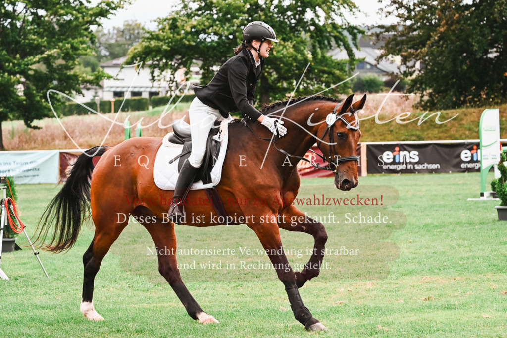 DSC_5981 | Pferde- und Turnierfotografie in Westsachsen. Pferdeportraits, Auftragszeichnungen und intuitive Kunst.
