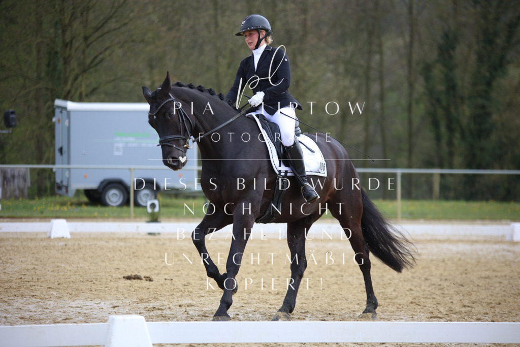 IMGT6205 | pl-fotografie