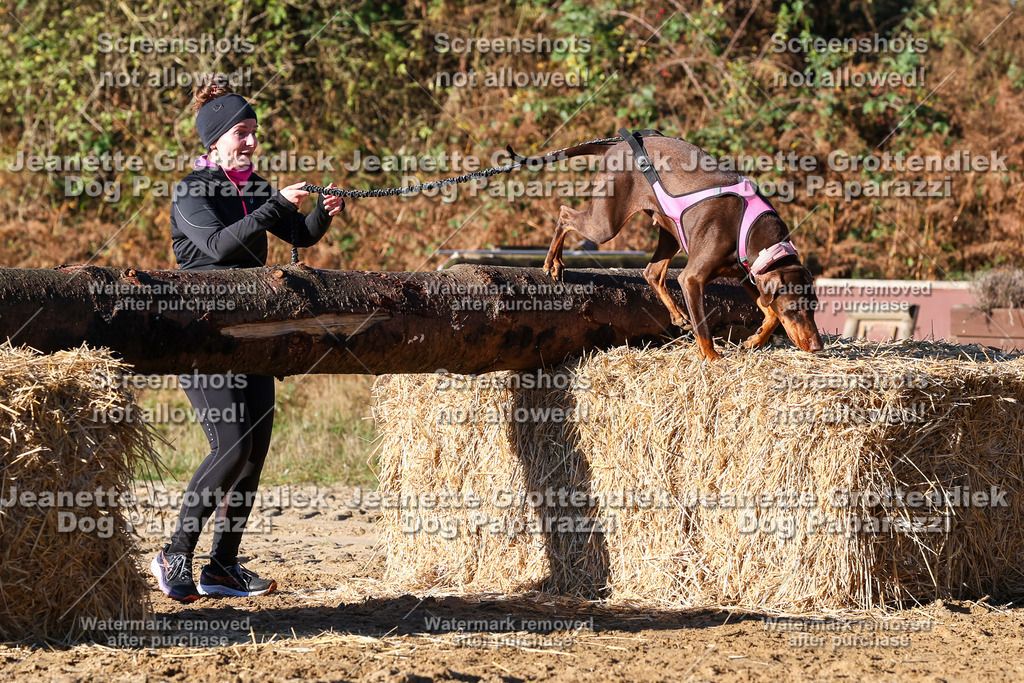 Dog Paparazzi - Strongdog 10-25-1427 | Dog Paparazzi Jeanette Grottendiek Fotografie & Videografie - Realisiert mit Pictrs.com