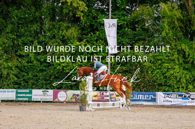 _62_3400 | larahueckfotografie