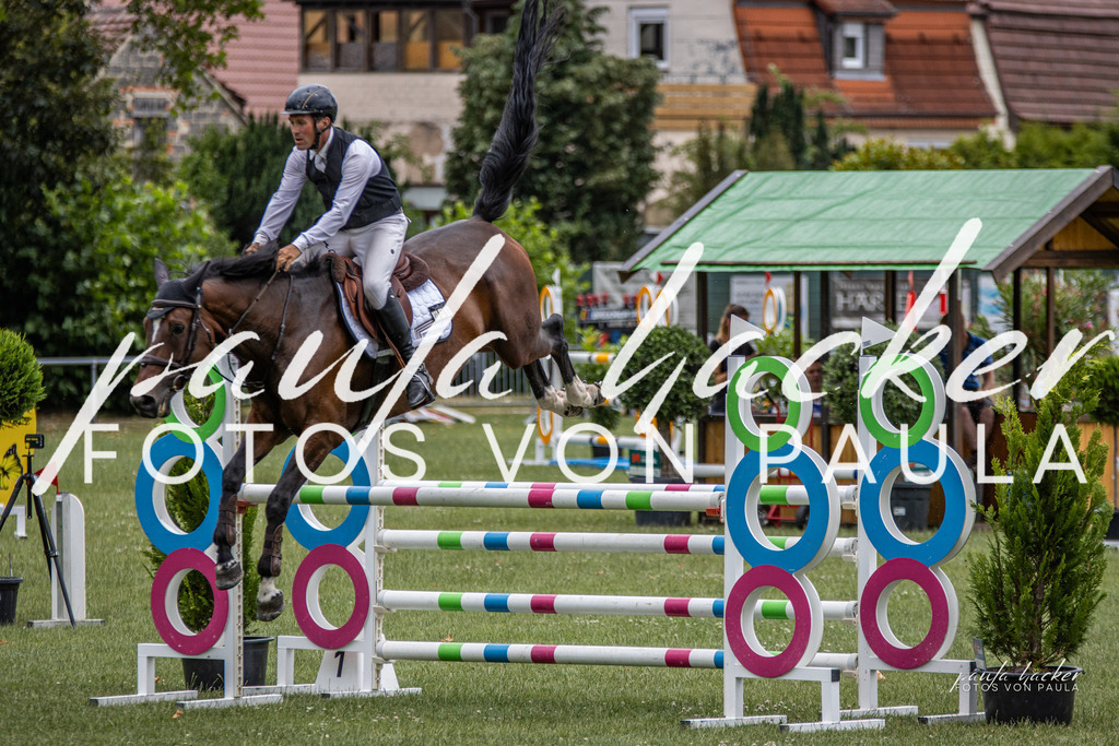 IMG_7119 | Erleben Sie dynamische Sport- und emotionale Tierfotografie in Süddeutschland mit Fotos von Paula. Spezialisiert auf Pferde- und Hundefotografie sowie Sportevents. Kontaktieren Sie mich für einzigartige und ausdrucksstarke Bilder Ihrer besonderen Momente. - Realisiert mit Pictrs.com
