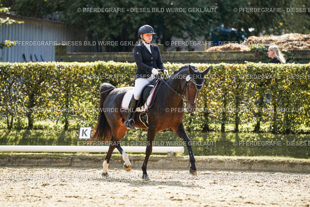 DSC07063 | Pferdegrafie