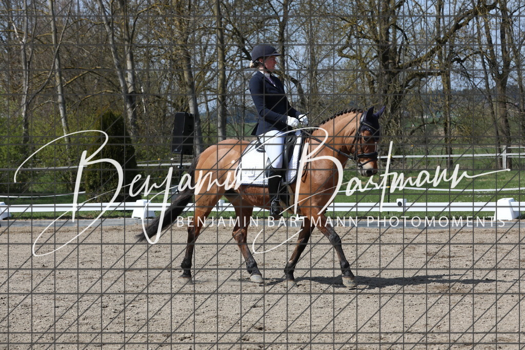 AZ2A5469 | Benjamin Bartmann Photomoments