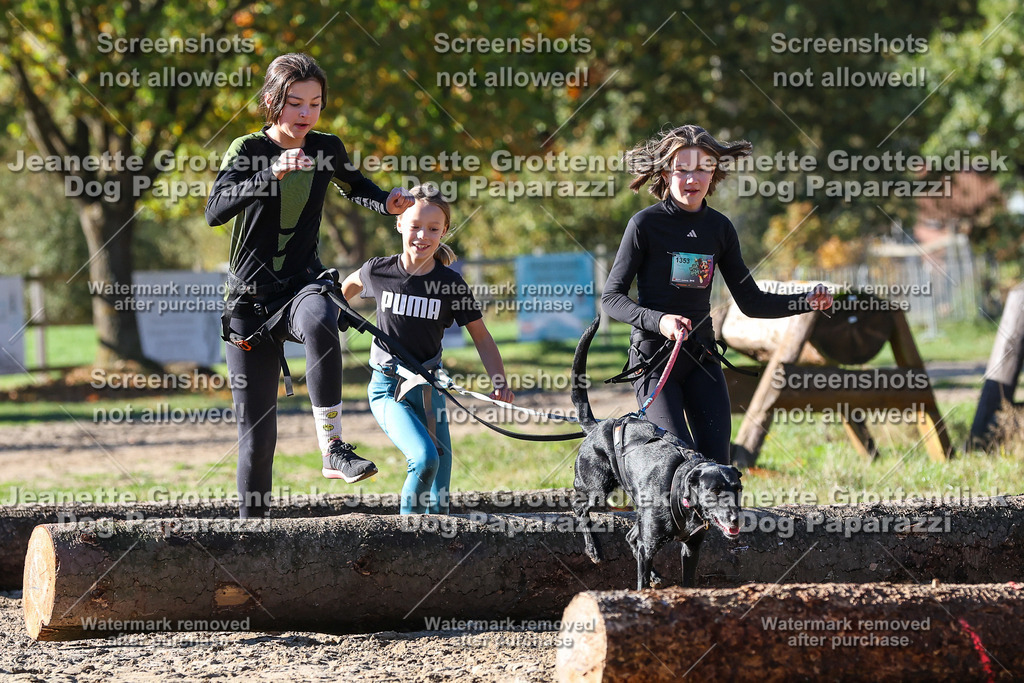 Dog Paparazzi - Strongdog 10-25-2538 | Dog Paparazzi Jeanette Grottendiek Fotografie & Videografie - Realisiert mit Pictrs.com