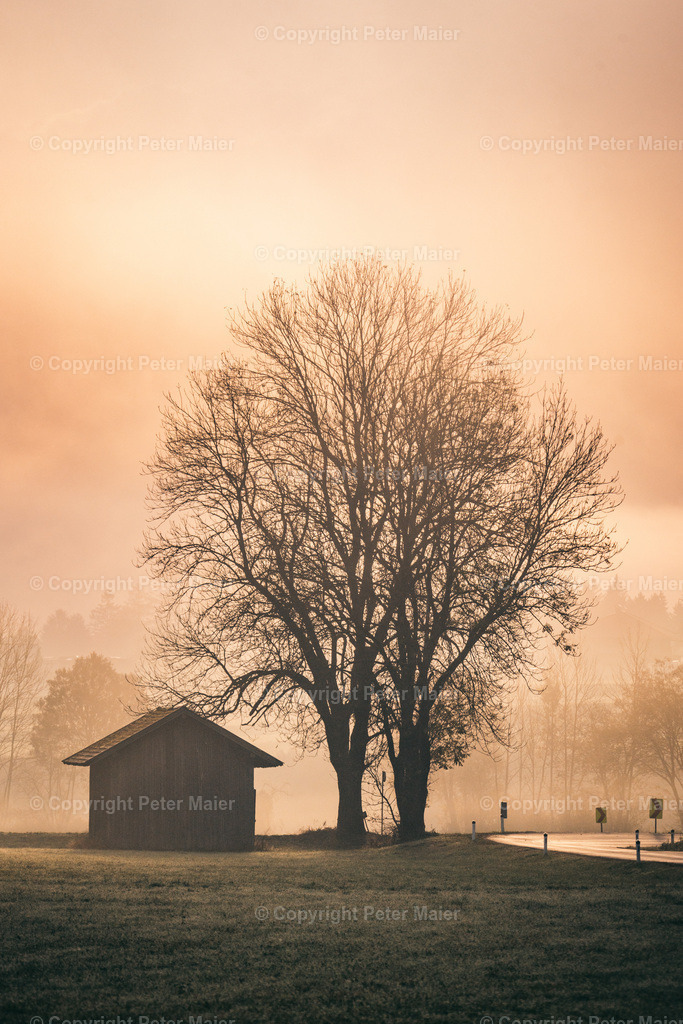 Lavant_Herbst_2023-14 | piet_flosse