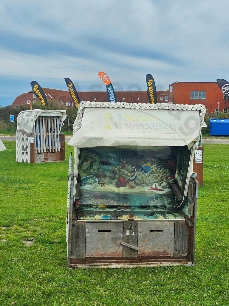 Nordsee Momente pur Nordseeküste Naturaufnahmen  | Nordsee in all ihrer Natürlichkeit  - Realisiert mit Pictrs.com