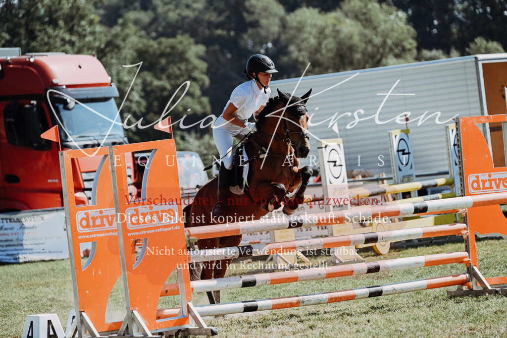 DSC_6176 | Pferde- und Turnierfotografie in Westsachsen. Pferdeportraits, Auftragszeichnungen und intuitive Kunst.
