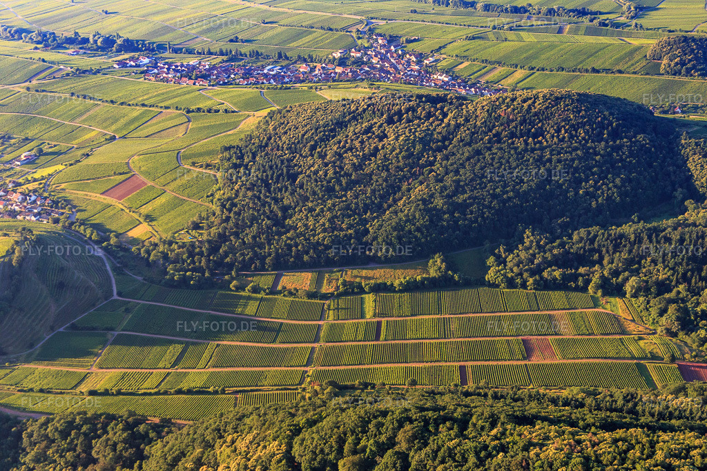Luftbild: Weinberge im Ranschbachtal aus Norden in Birkweiler im Bundesland Rheinland-Pfalz in Deutschland. Foto: IMG_091608.jpg vom 10.07.2016 durch Werner Riehm/FLY-FOTO.de