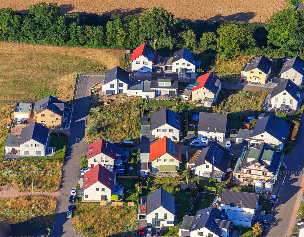 Luftbild: Narzissenweg in Kandel im Bundesland Rheinland-Pfalz in Deutschland. Foto: IMG_149424.jpg vom 18.07.2025 durch Werner Riehm/FLY-FOTO.de
