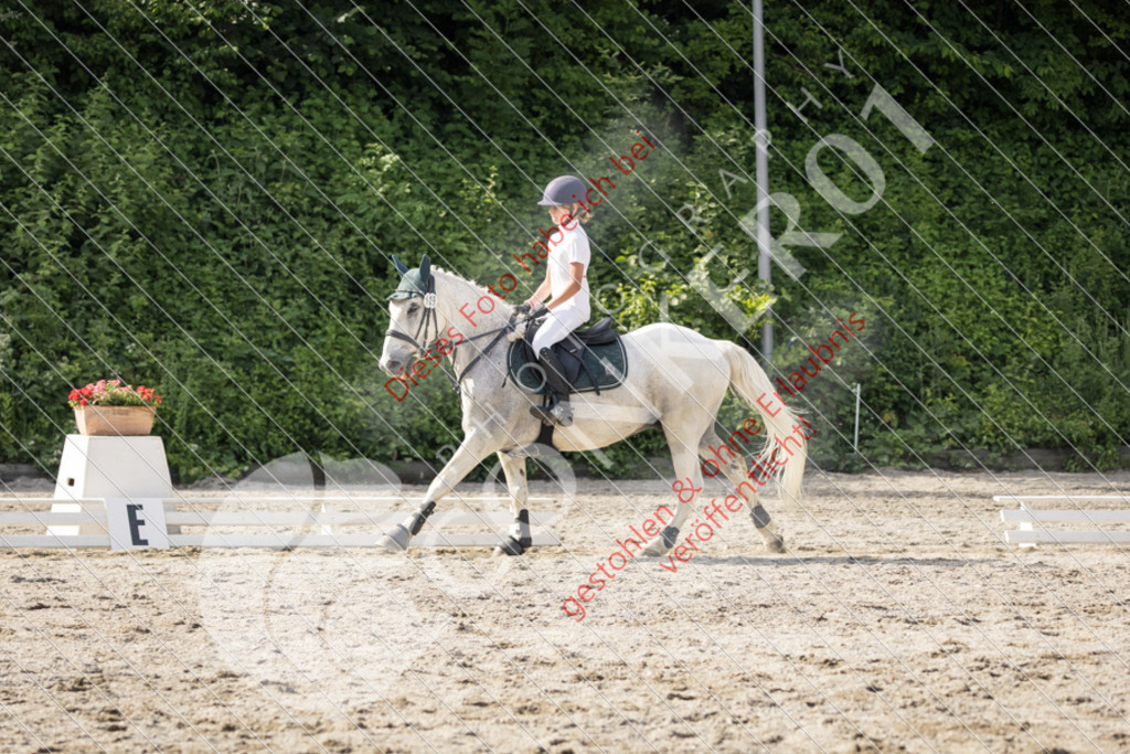 IMG_5914 | Sport-, Event- und Tierfotos in Profiqualität. Einfach auswählen, bestellen und herunterladen. Dein Moment – perfekt festgehalten.