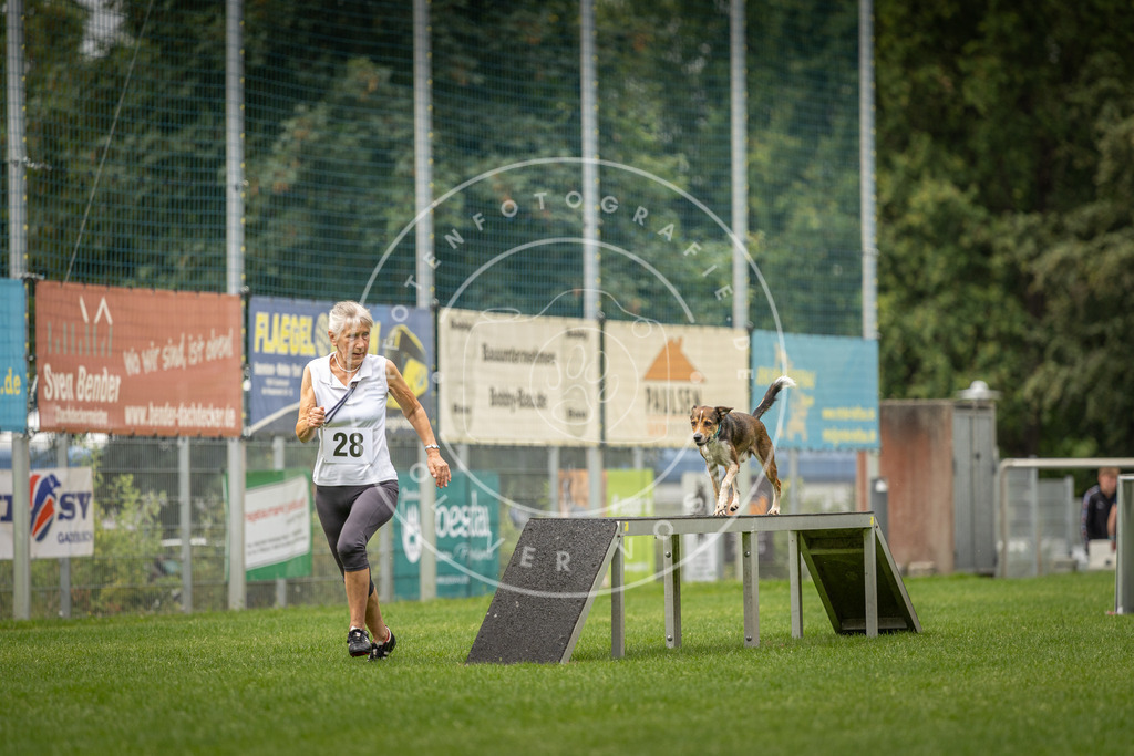 Pfotenfotografie_DV3A8725 | Hundefotografie, Tierfotograf, Pfotenfotografie, Fotoshooting Hund, Hunde Portrait, Hundesport, Hundeportraits, Heideshooting, Hunde, Sportfotograf, Hundefotograf, Turnierhundsport, THS,  - Realisiert mit Pictrs.com