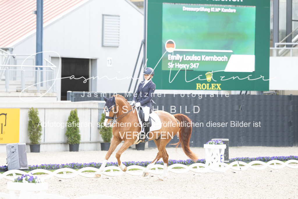 126A4622 | jasminmetznerfotografie