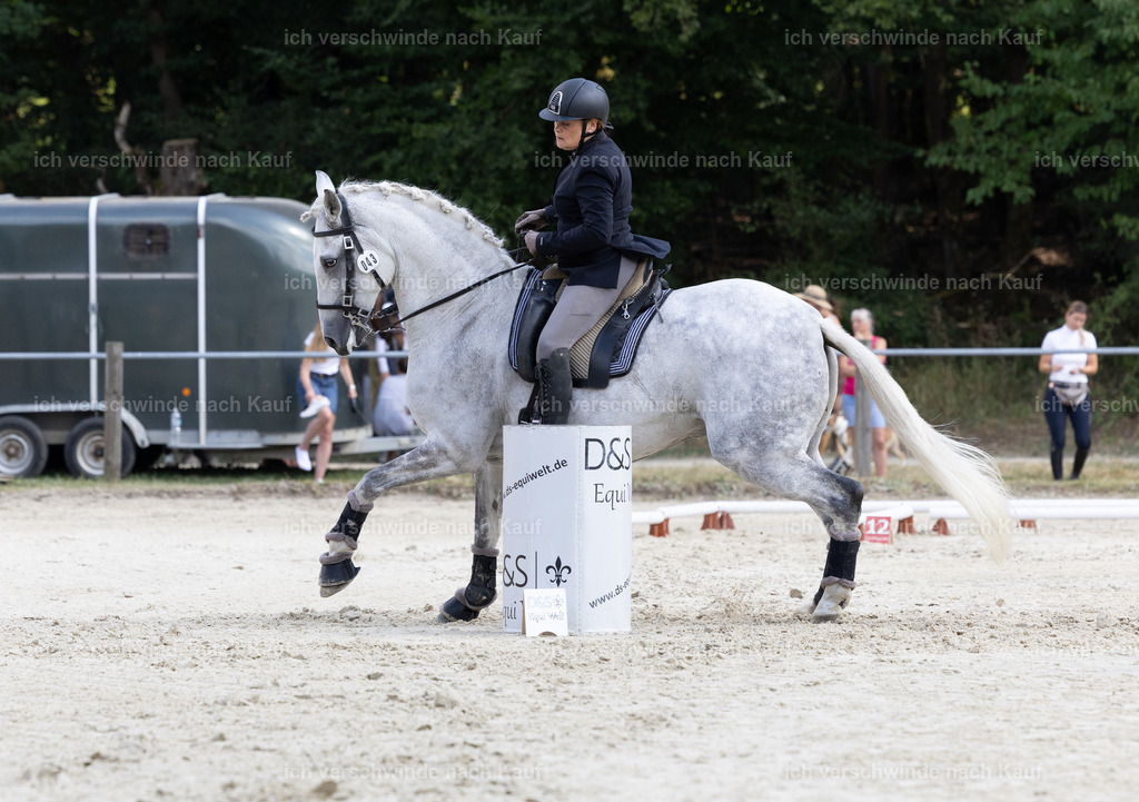 WS_SPEED_43_KerstinBernhardt-13 | working equitationturnier fotograf videograf stoibphotography marixx film working equitation deutschland reitsport turnierfotografie eventfotografie equestrian events