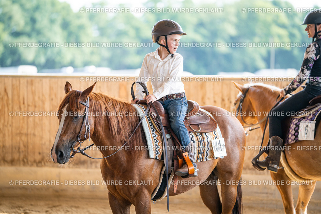 DSC09041 | Pferdegrafie