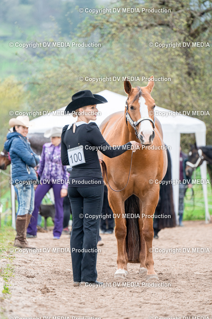 BA300237 | dv-media-shop - Realisiert mit Pictrs.com