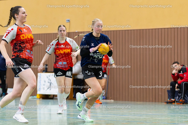 Handball I Damen I Saison 2025-2026 I Verbandsliga Süd I 10. Spieltag I HSG Kalkberg 06 - HSG Tills Löwen 08 092 | Franziska Hänisch (3, HSG Kalkberg 06) - Realisiert mit Pictrs.com