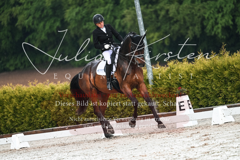 DSC_4214 | Pferde- und Turnierfotografie in Westsachsen. Pferdeportraits, Auftragszeichnungen und intuitive Kunst.