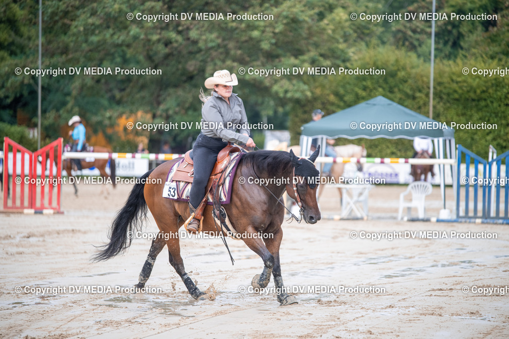 ZS2_4299 | dv-media-shop - Realisiert mit Pictrs.com