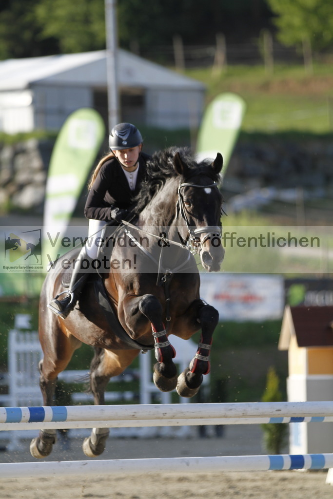 _MG_8484 | equestrian-live-com