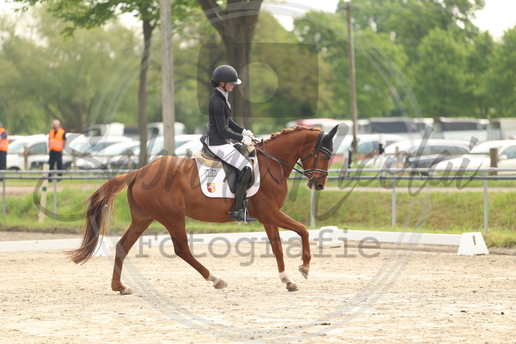 994A6245 | sabrinanicolaifotografie - Realisiert mit Pictrs.com
