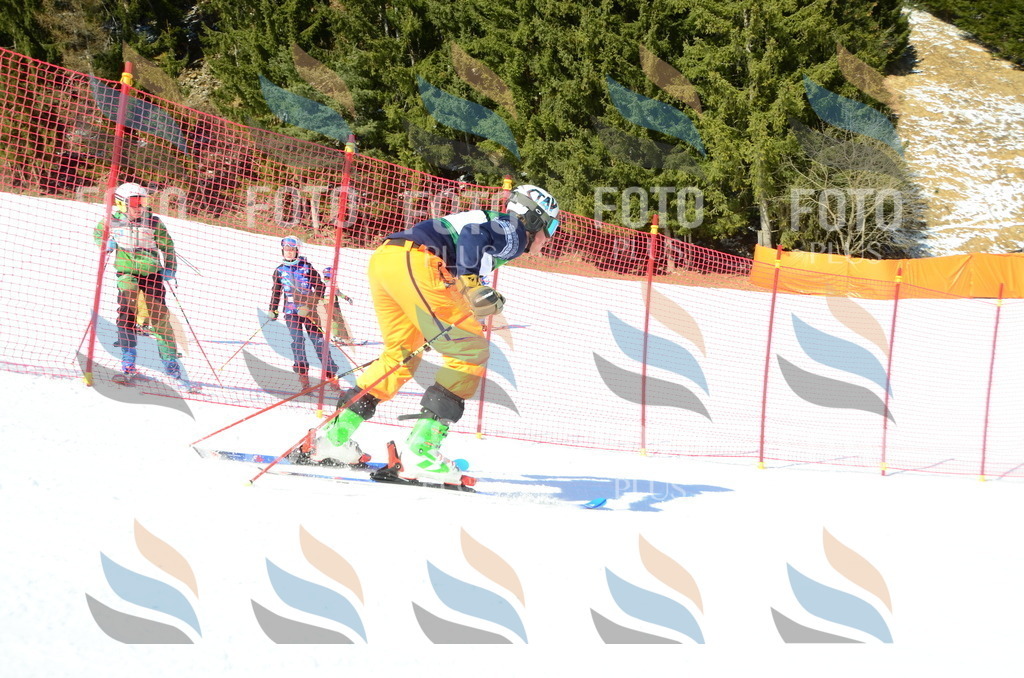 C6995 | holidayphoto