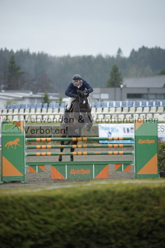 _DSC6179 | equestrian-live-com