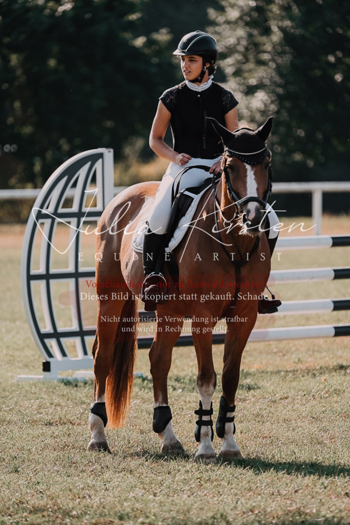 DSC_4890 | Pferde- und Turnierfotografie in Westsachsen. Pferdeportraits, Auftragszeichnungen und intuitive Kunst.