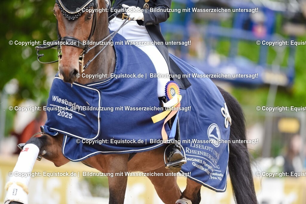 20250607_1_GP-Tour_Dressage_0559 | Foto: Thomas Hartig