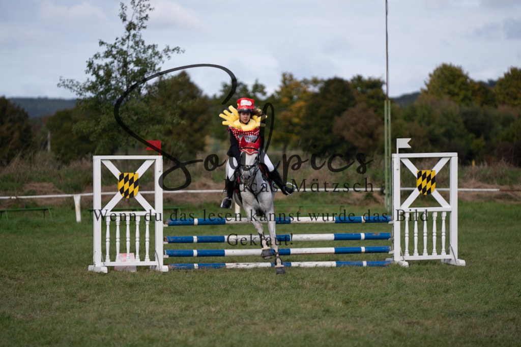 A7V06563 | Pferdefotograf