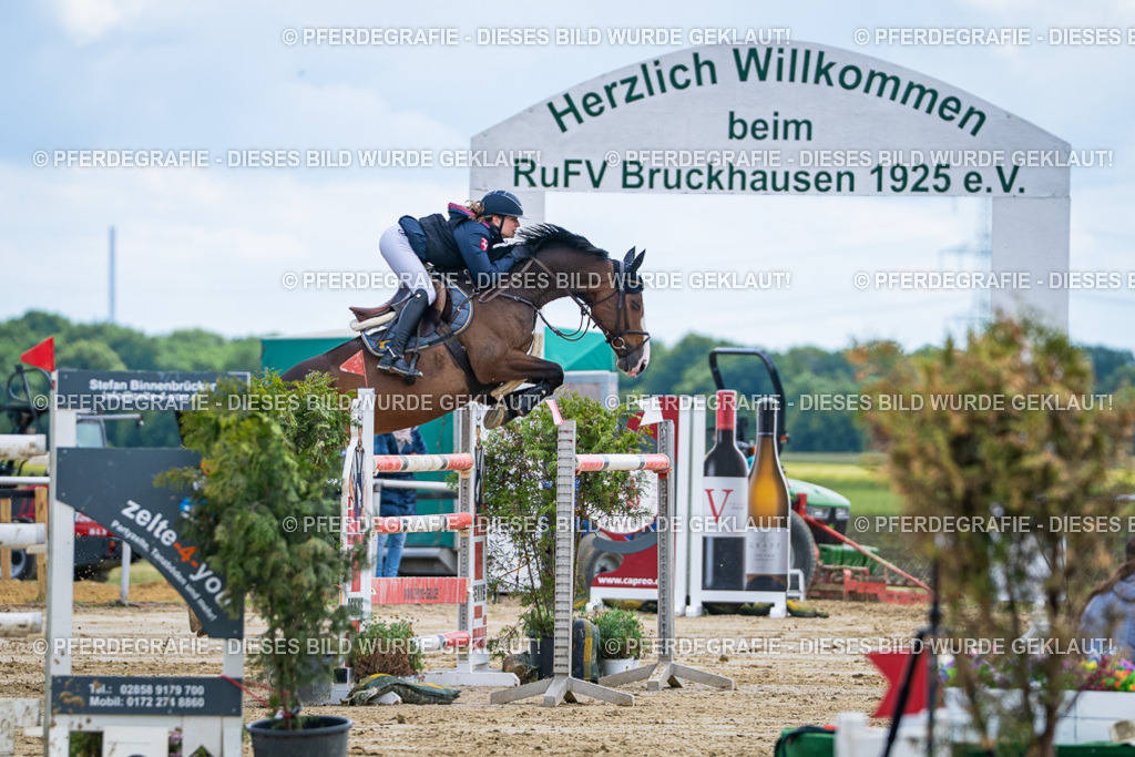 DSC05584 | Pferdegrafie