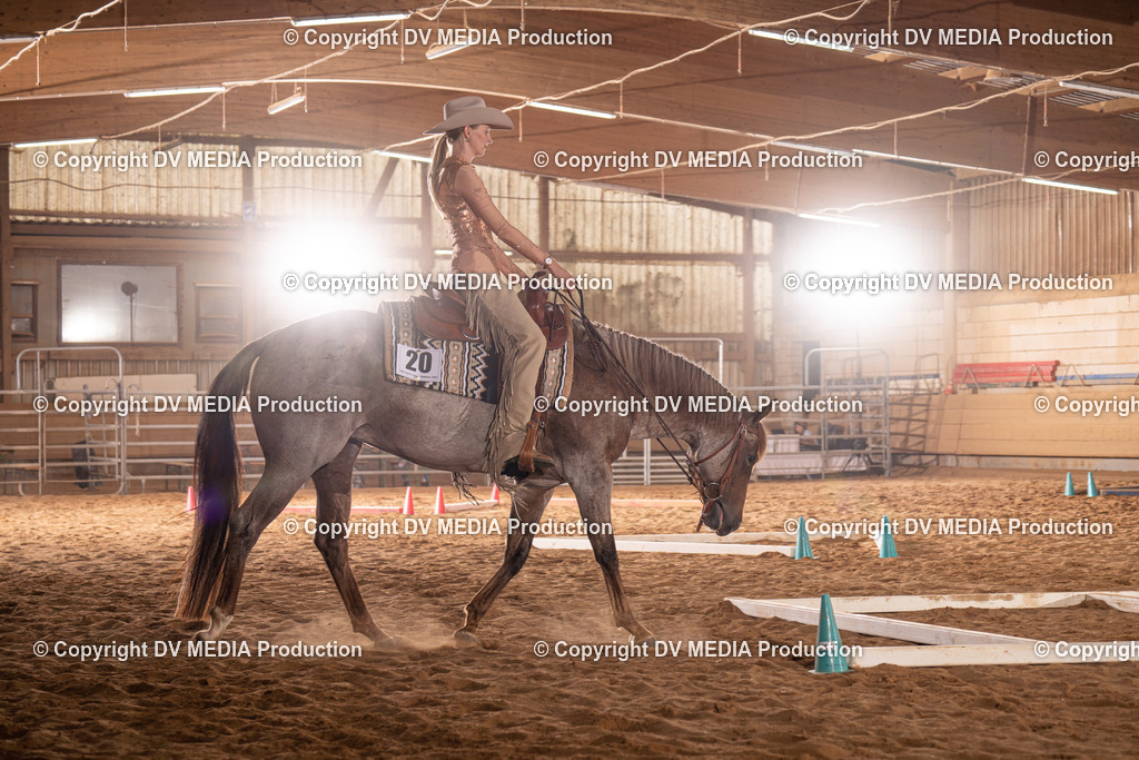 NID00821 | dv-media-shop - Realisiert mit Pictrs.com