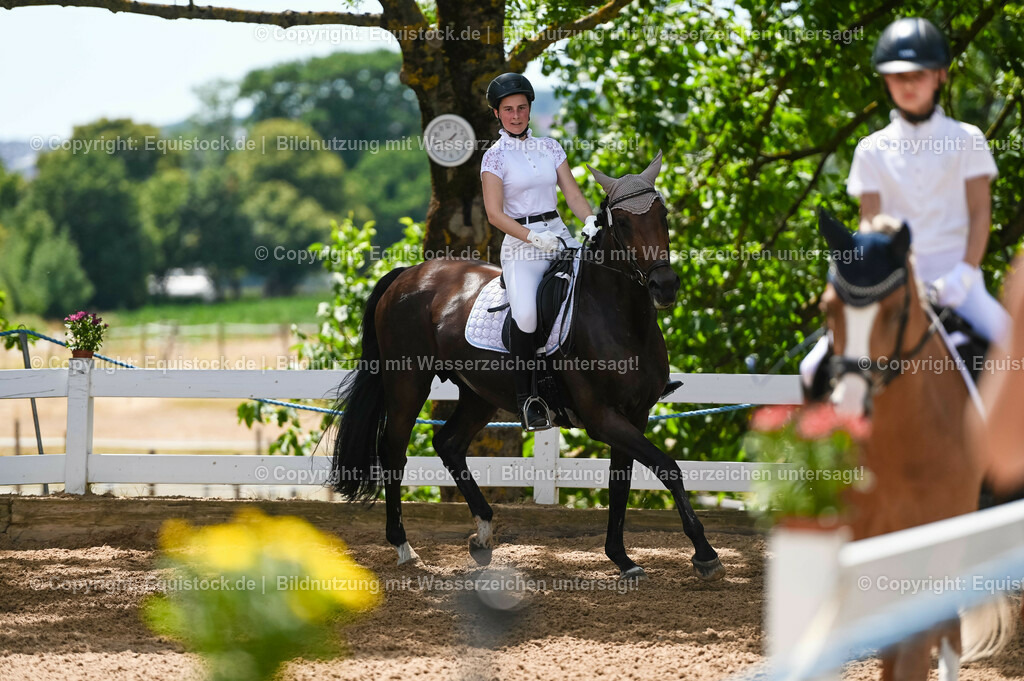20230715_09_Dressur-WB_0270 | equistock