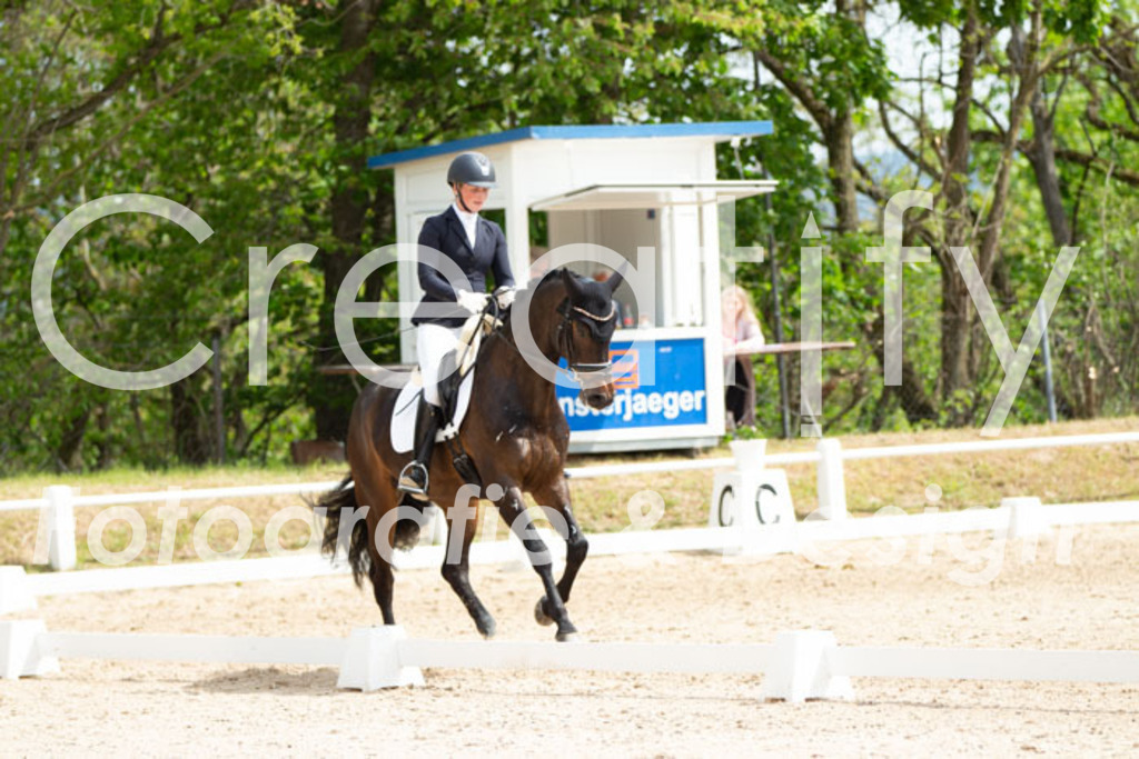 IMG_2687 | Creatify Fotografie