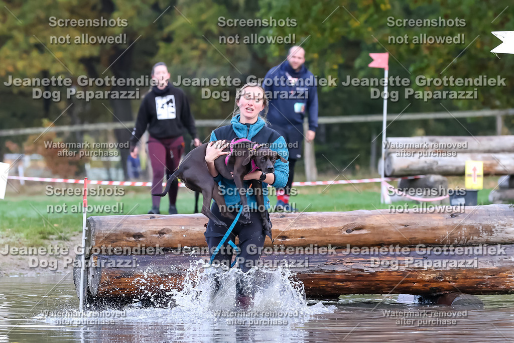 Dog Paparazzi - Strongdog 10-25-6545 | Dog Paparazzi Jeanette Grottendiek Fotografie & Videografie - Realisiert mit Pictrs.com