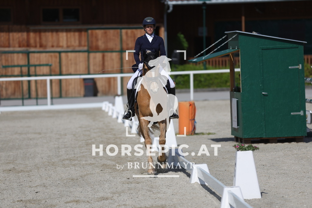 0P6A4501 | Willkommen bei Brunnmayr - Design & Fotografie – Ihrem Spezialisten für Reitturniere und Pferdeveranstaltungen in Oberösterreich, Salzburg und Bayern! Seit über 17 Jahren sind wir leidenschaftlich dabei.