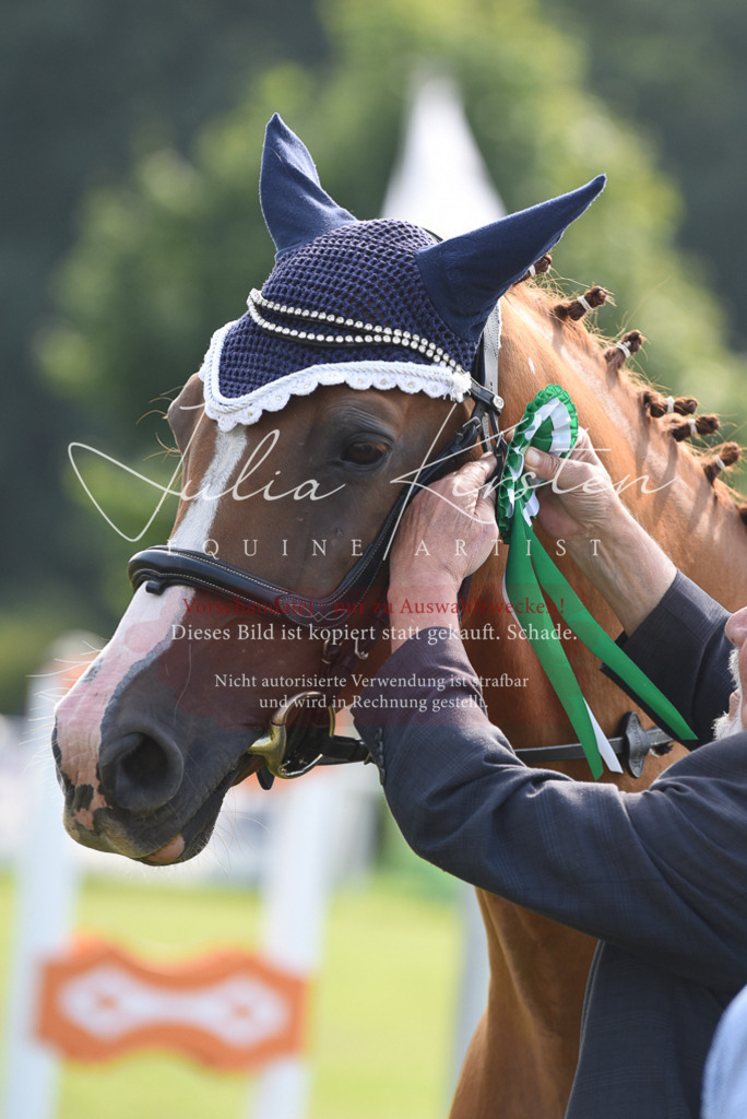 DSC_8977 | Pferde- und Turnierfotografie in Westsachsen. Pferdeportraits, Auftragszeichnungen und intuitive Kunst.