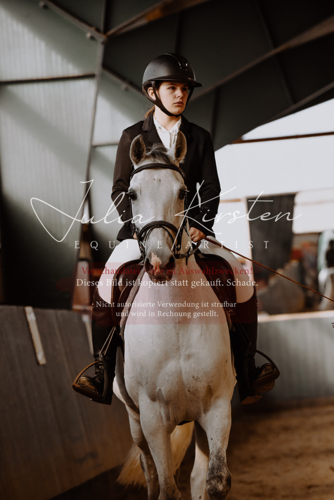 DSC_7413 | Pferde- und Turnierfotografie in Westsachsen. Pferdeportraits, Auftragszeichnungen und intuitive Kunst.