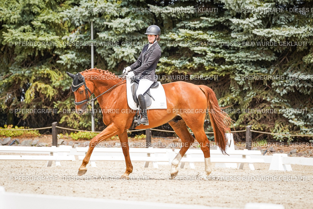 DSC03988 | Pferdegrafie