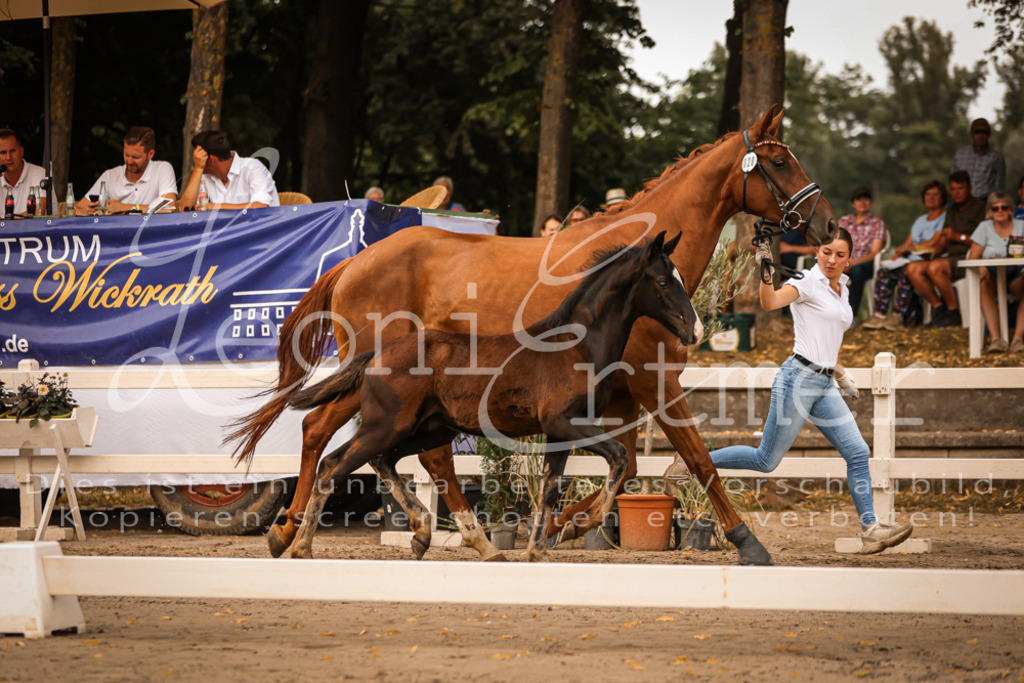 SaPA00279 | Leoni Ertmer Photography - Realisiert mit Pictrs.com