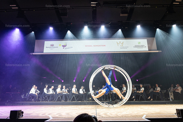 76.Gr_iwemaacher Wäinfest 2026. (67 von 243) | www.fotoromain.lu